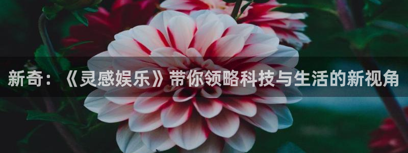 奇亿娱乐注册：新奇：《灵感娱乐》带你领略科技与生活的新视角