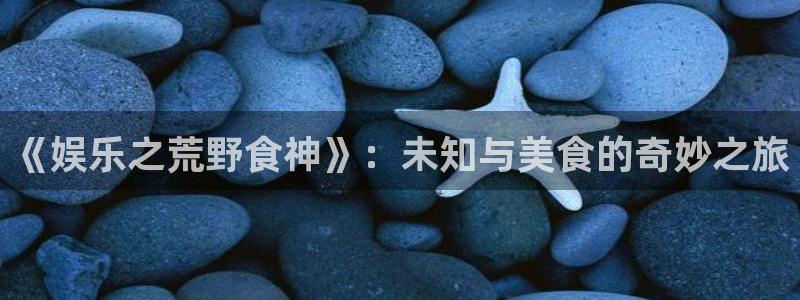 奇亿娱乐官方网站首页：《娱乐之荒野食神》：未知与美食的奇妙之旅